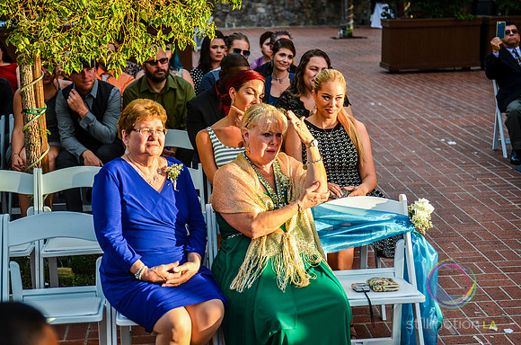 fox-wedding_1196_LR