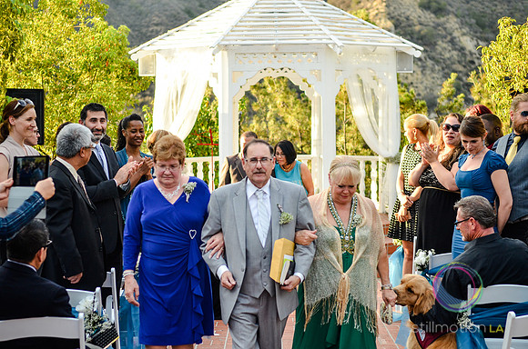 fox-wedding_1398_LR