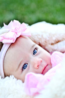 © 2012 www.TommyJohnStudios.com