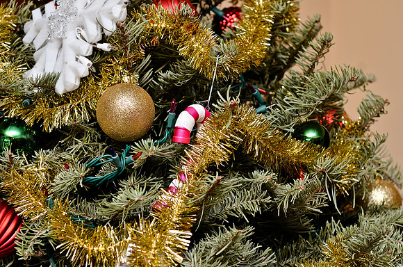 © 2012 www.TommyJohnStudios.com
