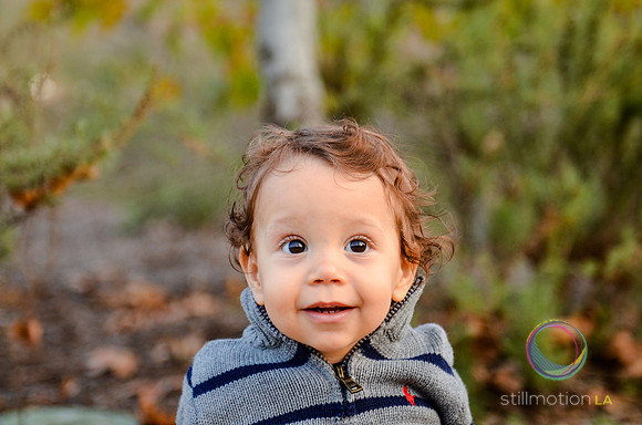 otis_bear_13_months_0015_LR