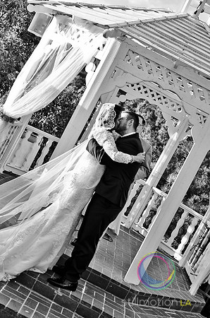 fox-wedding_1268_LR