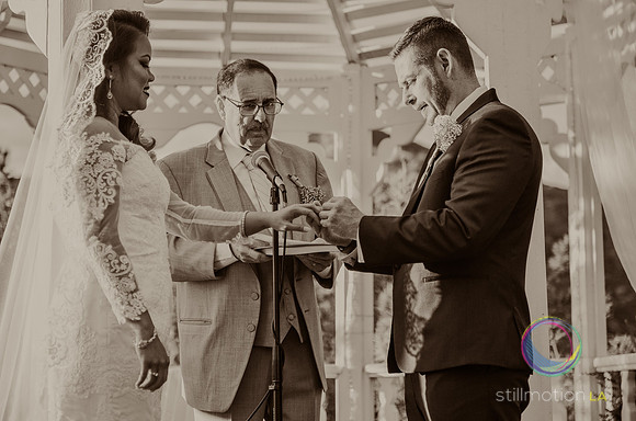 fox-wedding_1228_LR