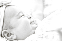 © 2012 www.TommyJohnStudios.com