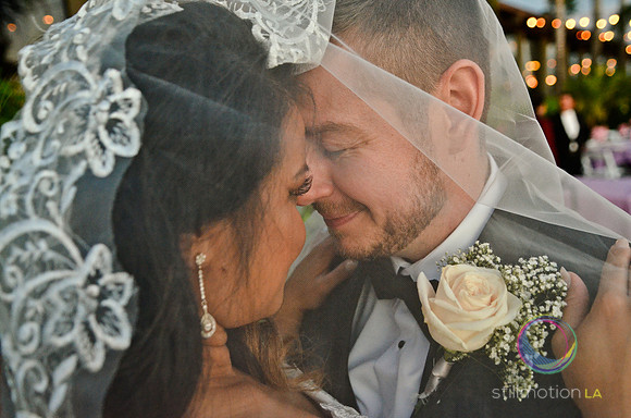 fox-wedding_1863_LR