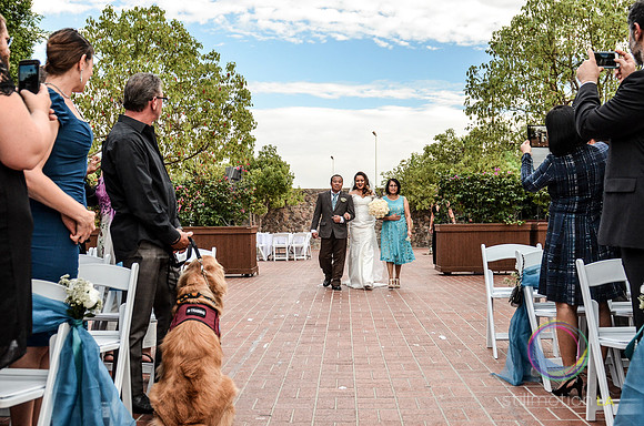 fox-wedding_1035_LR