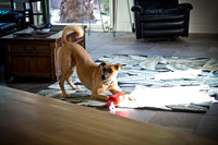 e-session_evan-debbi_0001