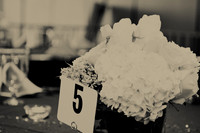 aros_75th_TJS_0098