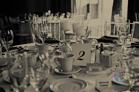 fox-wedding_0724_LR
