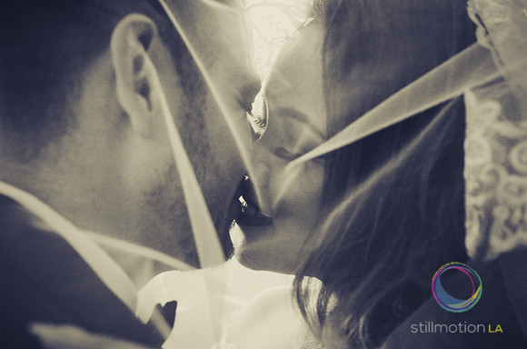 fox-wedding_1877_LR