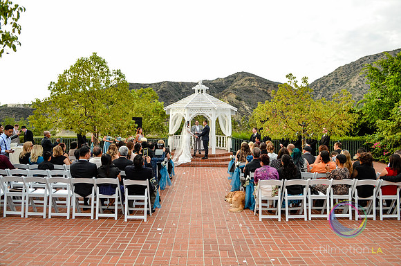fox-wedding_1117_LR