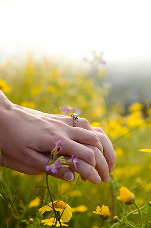 e-session_katie-alan_04-29-12_0316