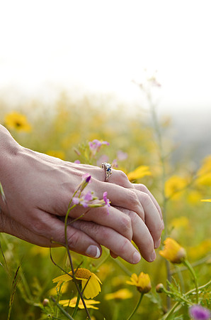 e-session_katie-alan_04-29-12_0313