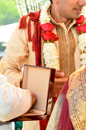 wedding_supreeta-tota_2787_LR