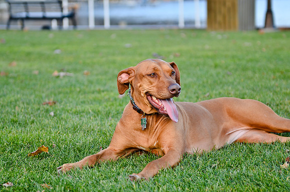 © 2012 www.TommyJohnStudios.com