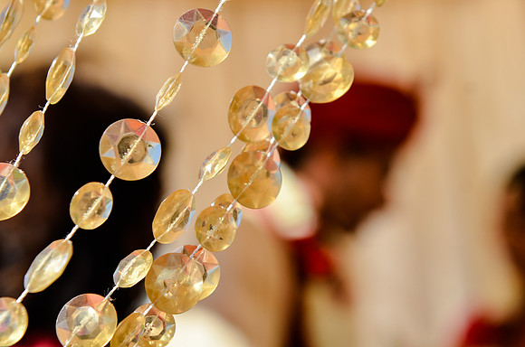 wedding_supreeta-tota_2573_LR