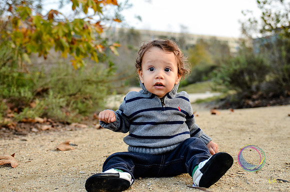 otis_bear_13_months_0020_LR