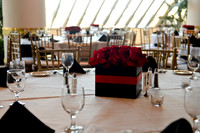 © 2012 www.TommyJohnStudios.com