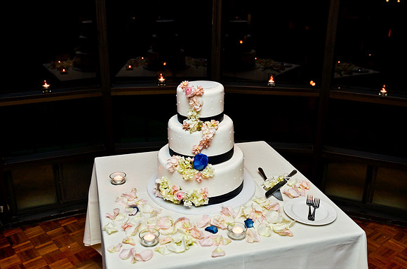 © 2012 www.TommyJohnStudios.com