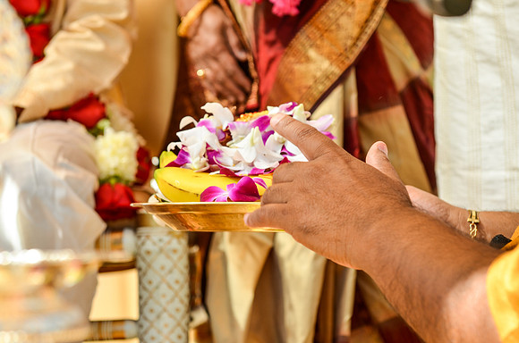 wedding_supreeta-tota_2375_LR