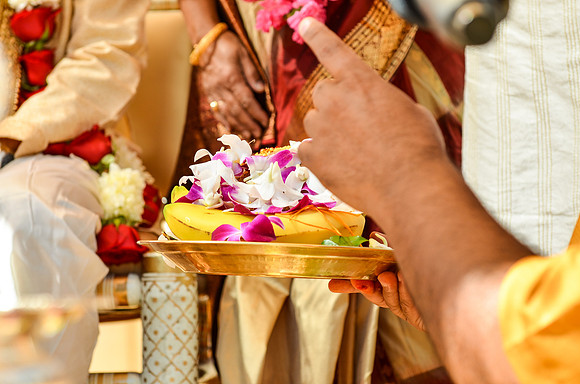 wedding_supreeta-tota_2373_LR