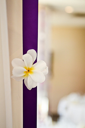 © 2012 www.TommyJohnStudios.com