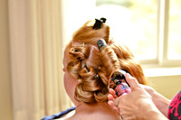 © 2012 www.TommyJohnStudios.com