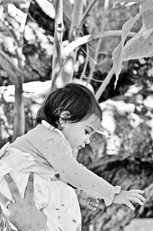 © 2012 www.TommyJohnStudios.com