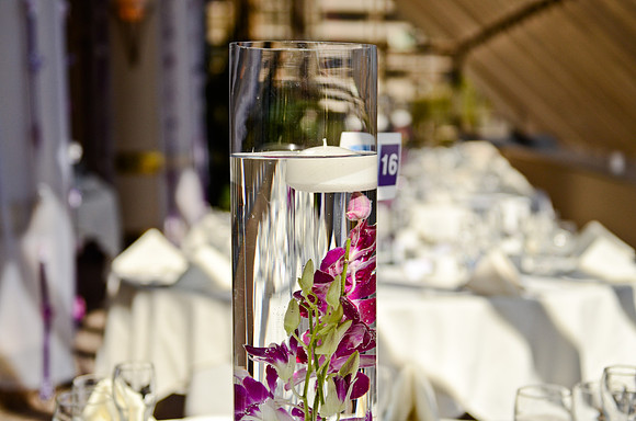 © 2012 www.TommyJohnStudios.com