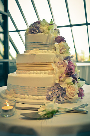 © 2012 www.TommyJohnStudios.com