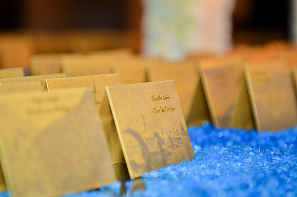 wedding_supreeta-tota_3017_LR