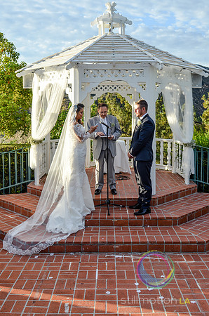 fox-wedding_1171_LR