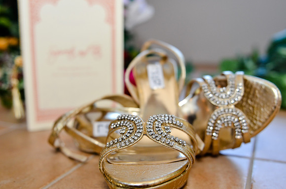 wedding_supreeta-tota_1008_LR