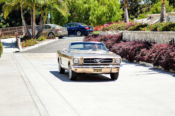 wedding_supreeta-tota_0748_LR