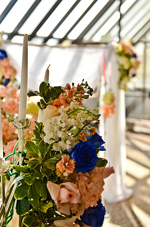 © 2012 www.TommyJohnStudios.com