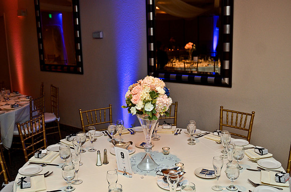 © 2012 www.TommyJohnStudios.com