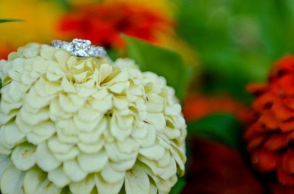 e-session_ronnie-tomasa_0527