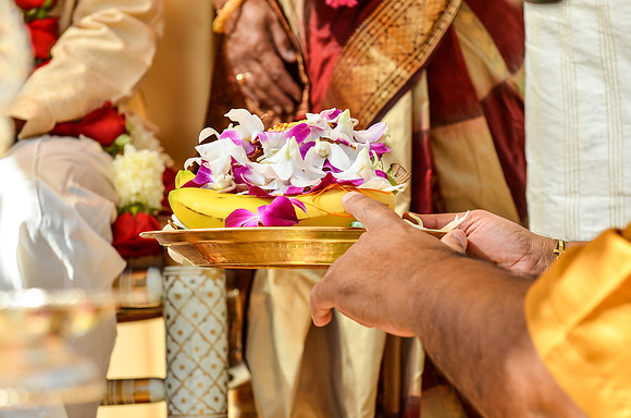 wedding_supreeta-tota_2376_LR
