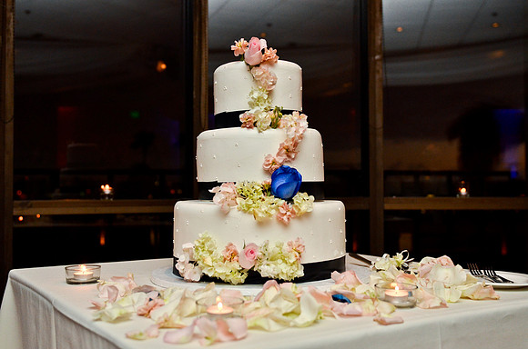 © 2012 www.TommyJohnStudios.com