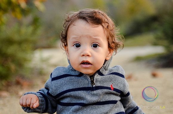otis_bear_13_months_0032_LR