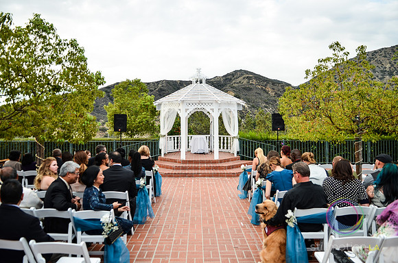 fox-wedding_0815_LR
