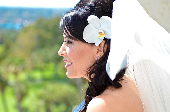 © 2012 www.TommyJohnStudios.com