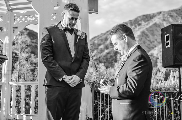 fox-wedding_1221_LR