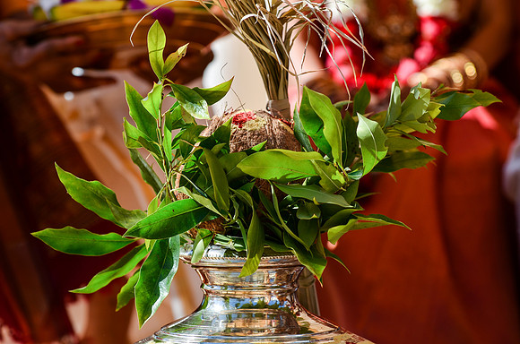 wedding_supreeta-tota_2406_LR