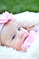 © 2012 www.TommyJohnStudios.com