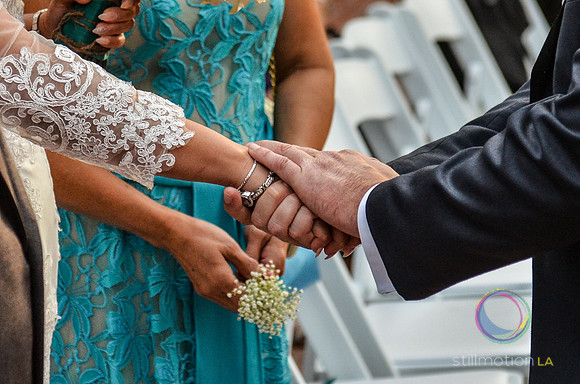 fox-wedding_1095_LR