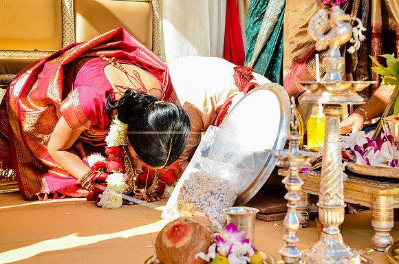 wedding_supreeta-tota_2721_LR