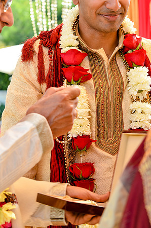 wedding_supreeta-tota_2789_LR