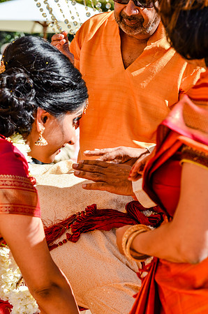 wedding_supreeta-tota_2763_LR