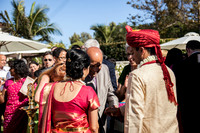 wedding_supreeta-tota_2989_LR